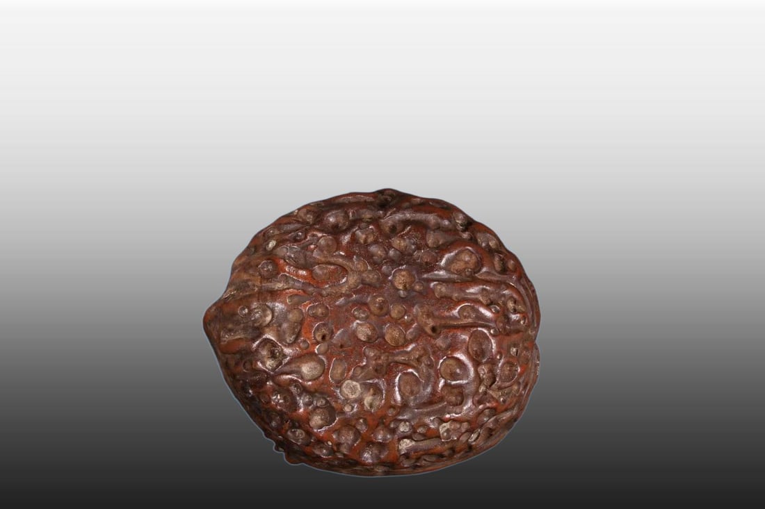 A Exquisite Walnut Golden Toad Tea Pet - 9