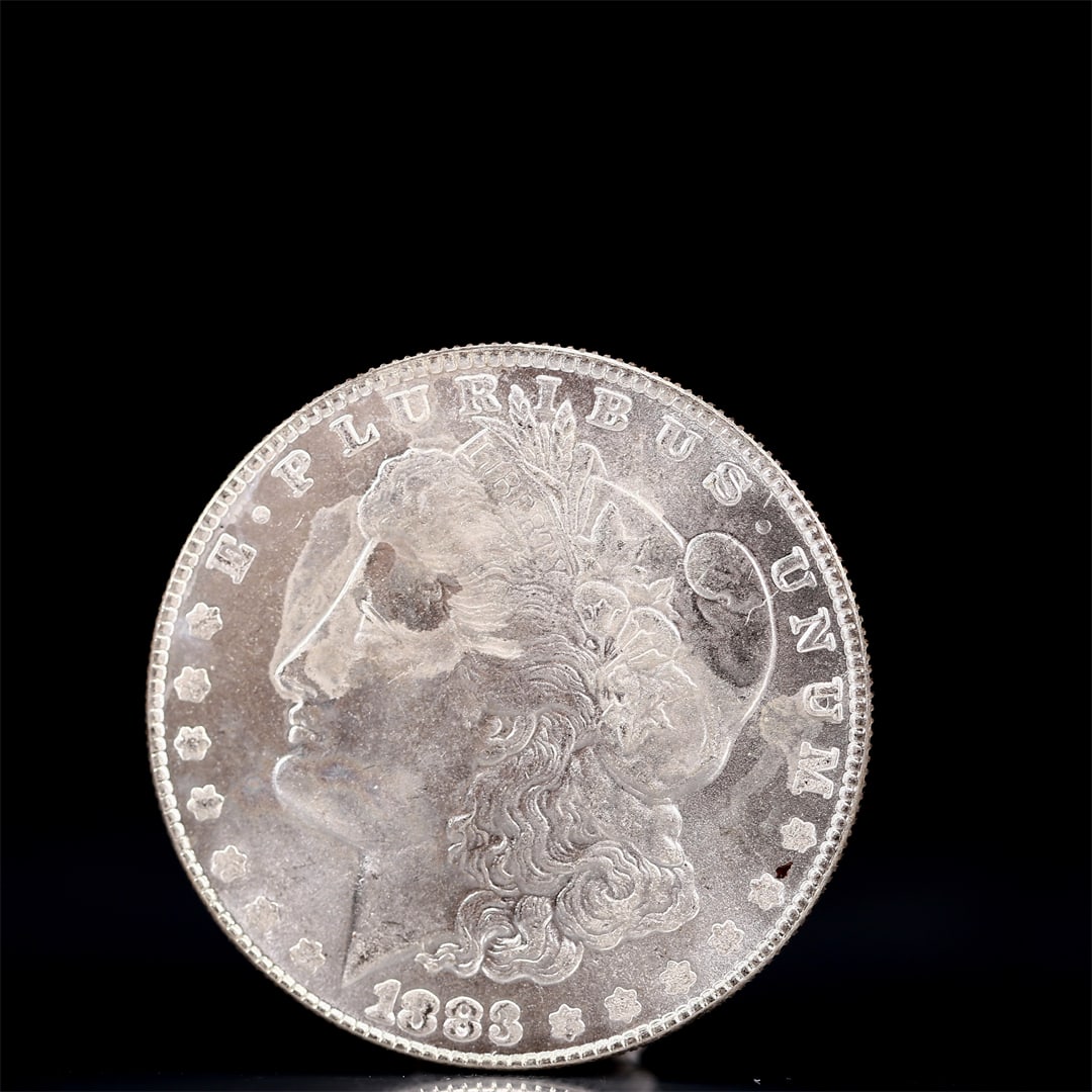 USA Morgan Dollar 1883 Coin: Obv: profile bust with date below and E PLURIBUS UNUM legend and stars around. Rev: eagle with In God we trust above within wreath with UNITED STATES OF AMERICA ONE DOLLAR legend. IN GOD WE TRUST / LI