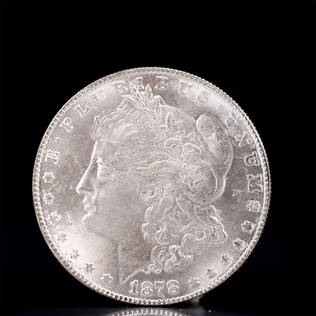 USA Morgan Dollar 1878 Coin: Obv: profile bust with date below and E PLURIBUS UNUM legend and stars around. Rev: eagle with In God we trust above within wreath with UNITED STATES OF AMERICA ONE DOLLAR legend. IN GOD WE TRUST / LI