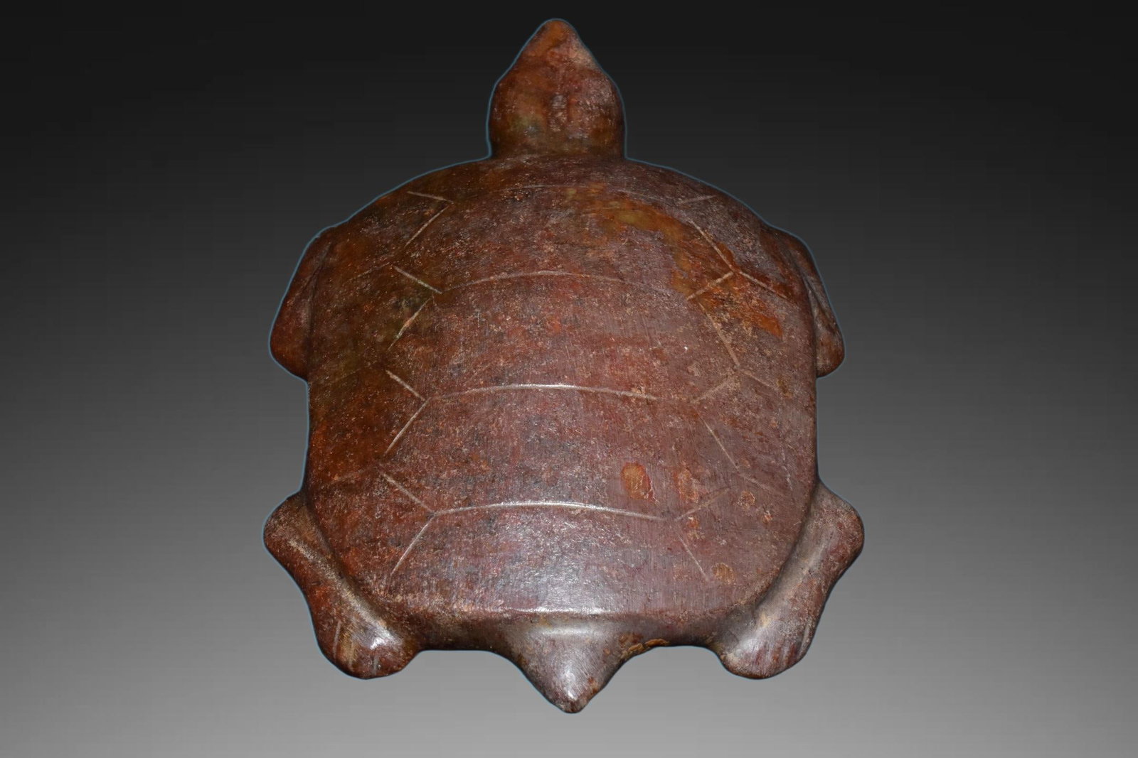 A Exquisite River Polished Jade Tortoise - 3