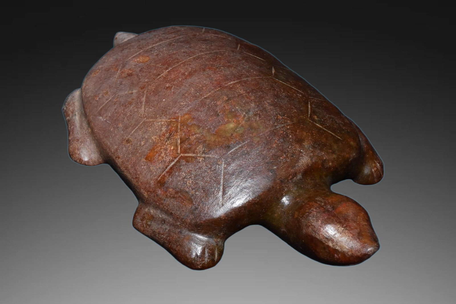 A Exquisite River Polished Jade Tortoise - 4