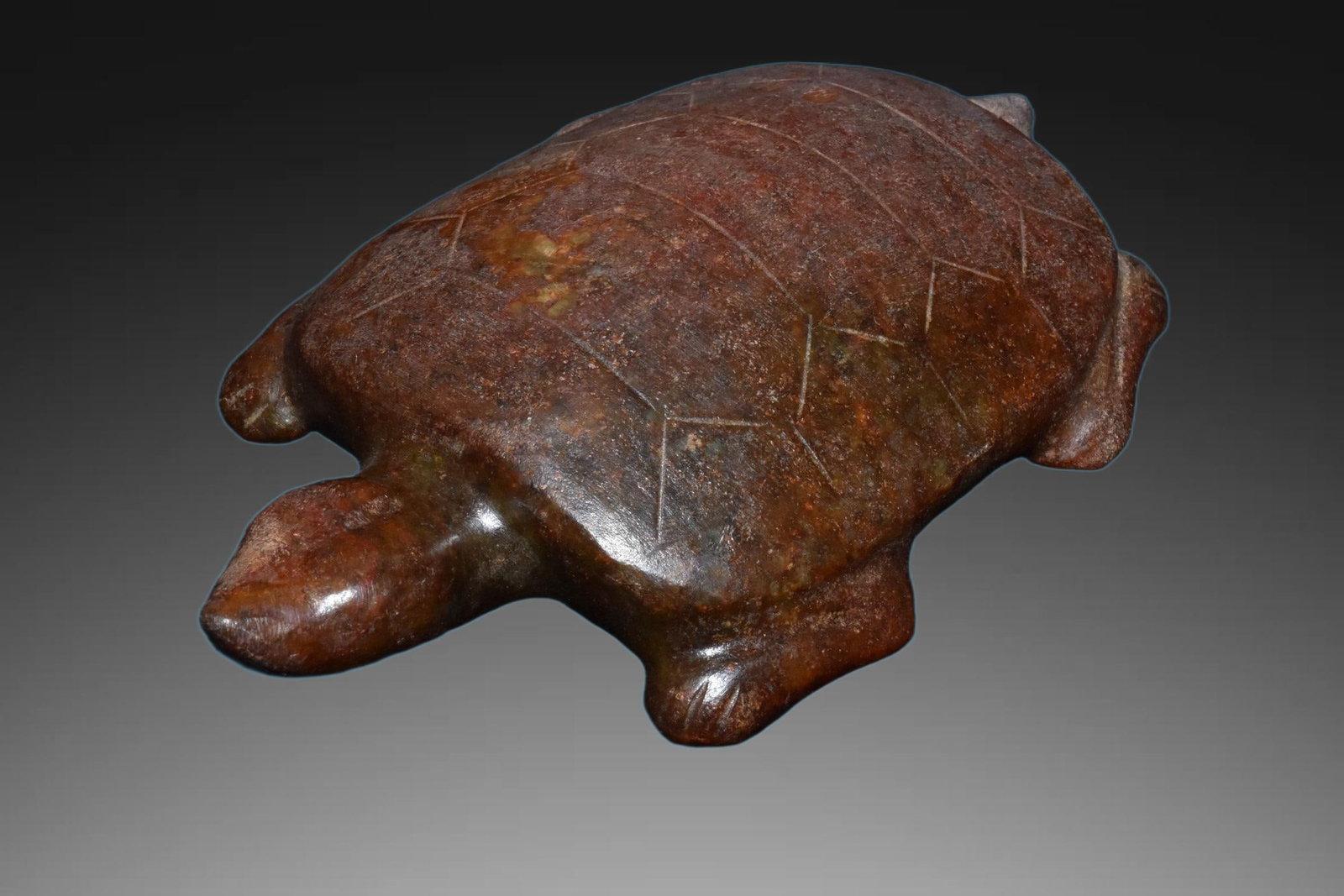 A Exquisite River Polished Jade Tortoise - 5