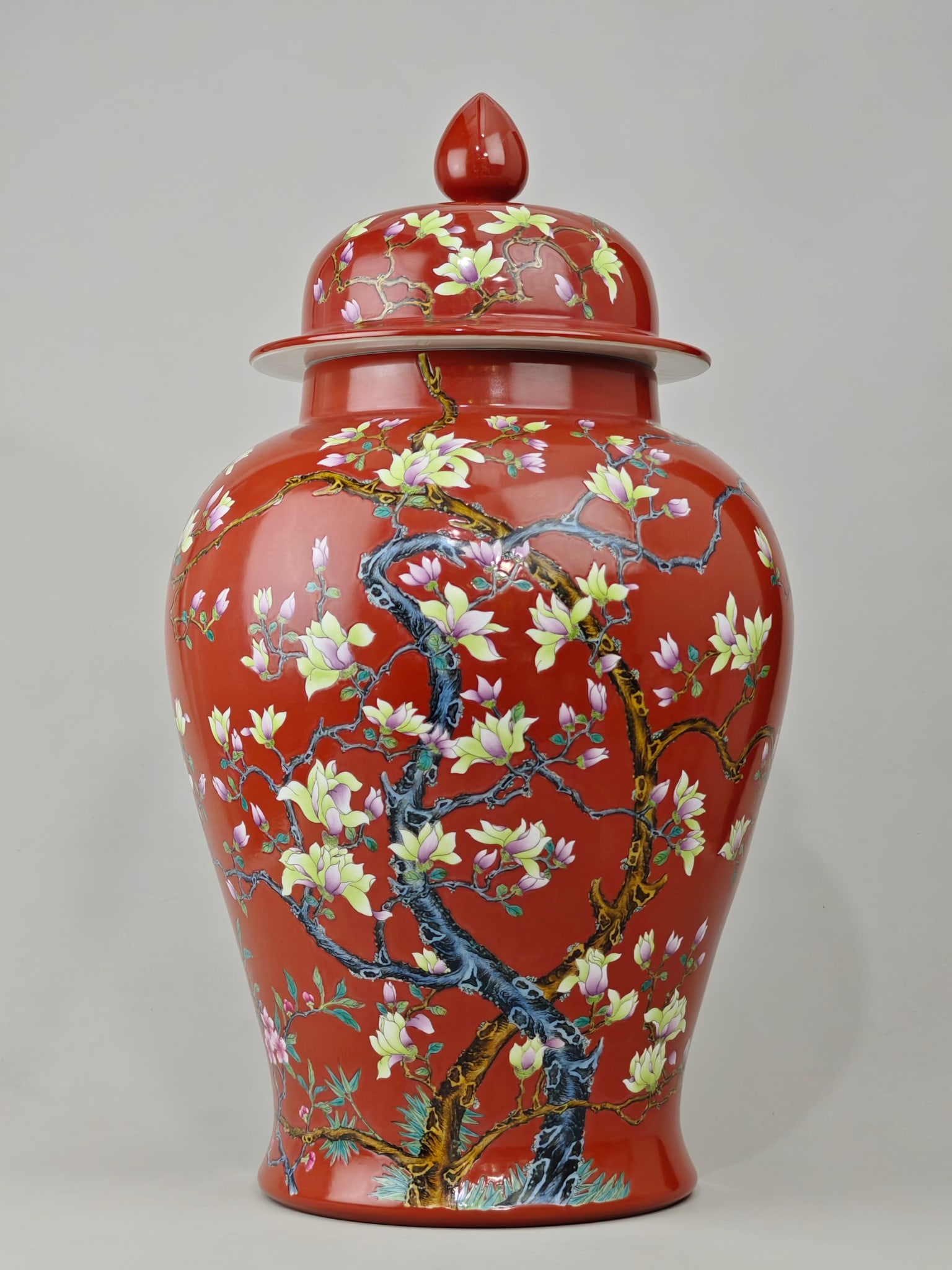A Exquisite Famille-Rose Iron-Red Flower Pattern Jar: A Exquisite Famille-Rose Iron-Red Flower Pattern Jar,Qing Dynasty, China,Yongzheng Six-character Mark,Size:21.7inx11.8in 粉彩矾红釉花卉纹罐,ߑ