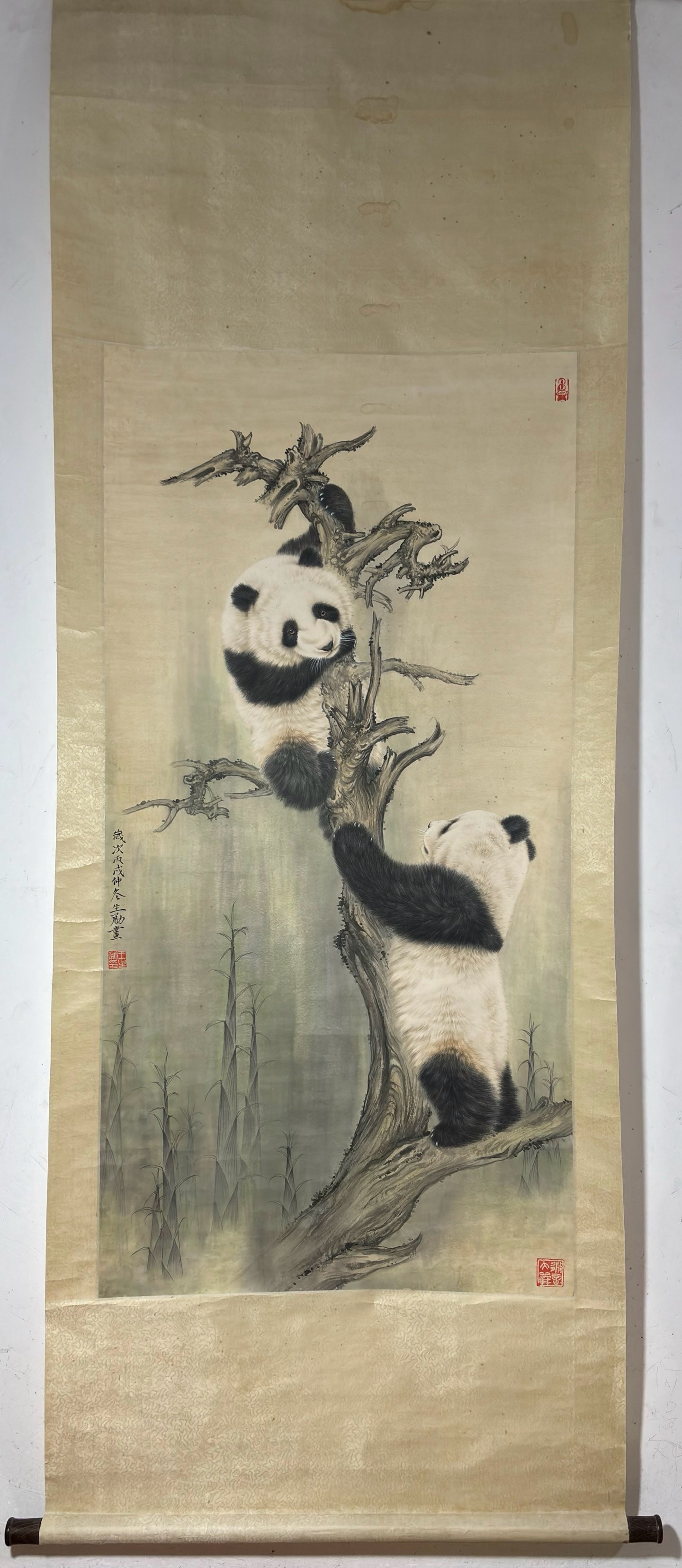 A Chinese Vertical Scroll Ink Painting of Panda on Paper: A Chinese Vertical Scroll Ink Painting of Panda on Paper,Modern Time,Wang Shenyong,without frame size:53.1inx26.8in (Premium) 一幅中国水墨纸本熊&#