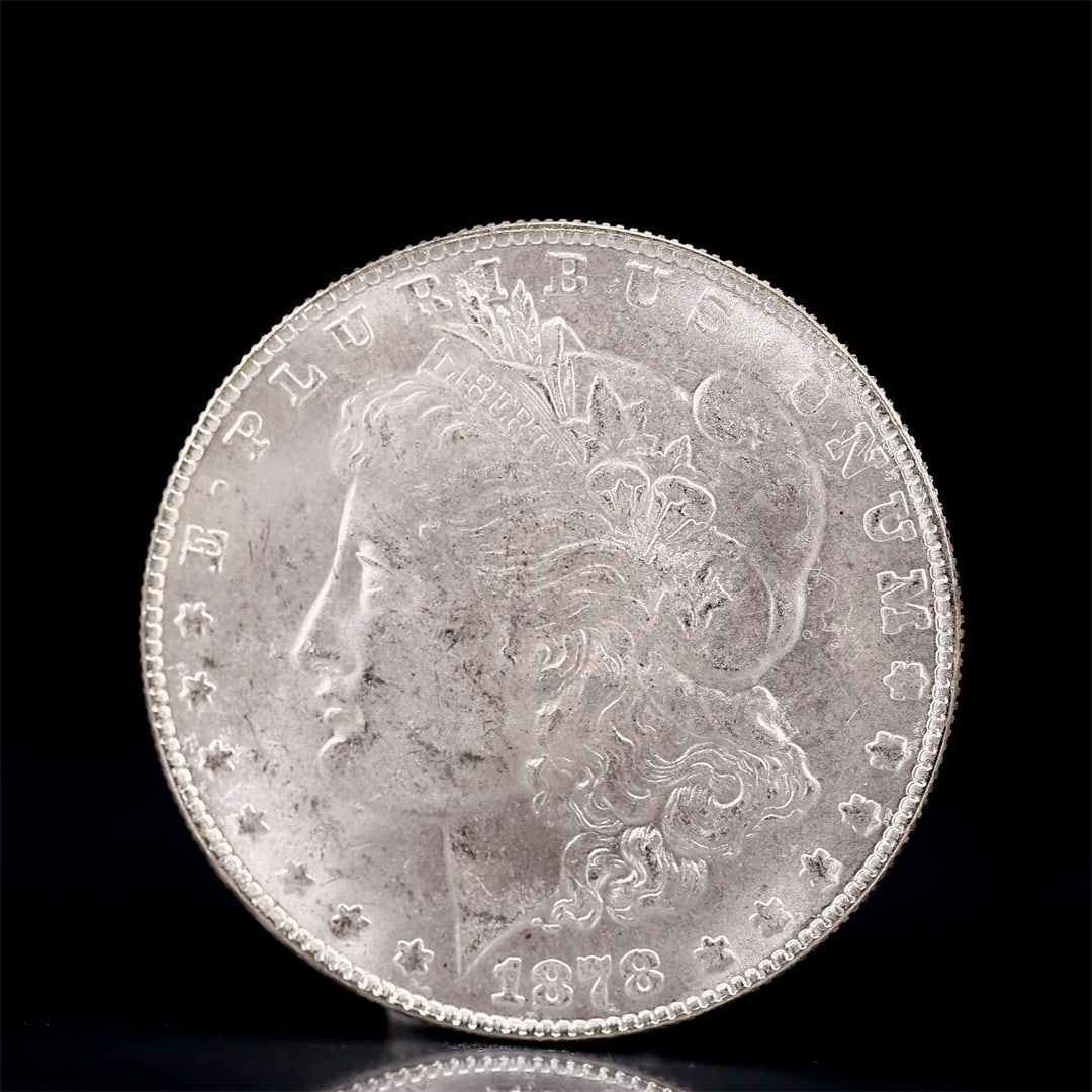USA Morgan Dollar 1878 Coin: Obv: profile bust with date below and E PLURIBUS UNUM legend and stars around. Rev: eagle with In God we trust above within wreath with UNITED STATES OF AMERICA ONE DOLLAR legend. IN GOD WE TRUST / LI
