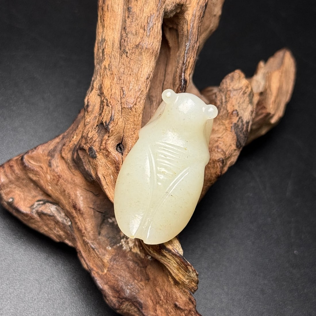 An Exquisite White Jade Cicada Ornament: An Exquisite White Jade Cicada Ornament,Qing Dynasty,China,Size:1.7inx0.9inx0.6in,Weight:24g,白玉蝉摆件,中国清代