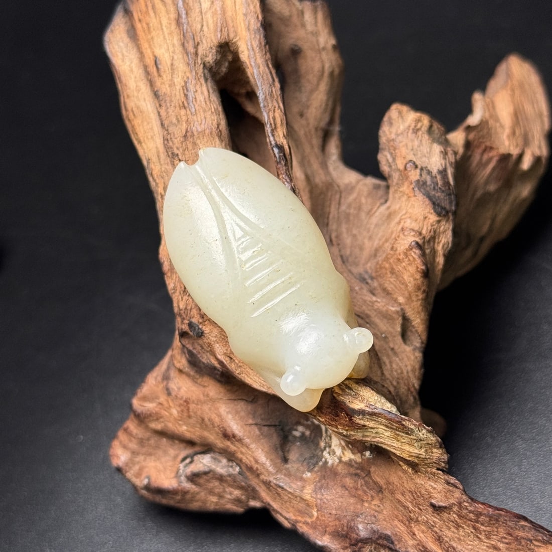 An Exquisite White Jade Cicada Ornament - 2