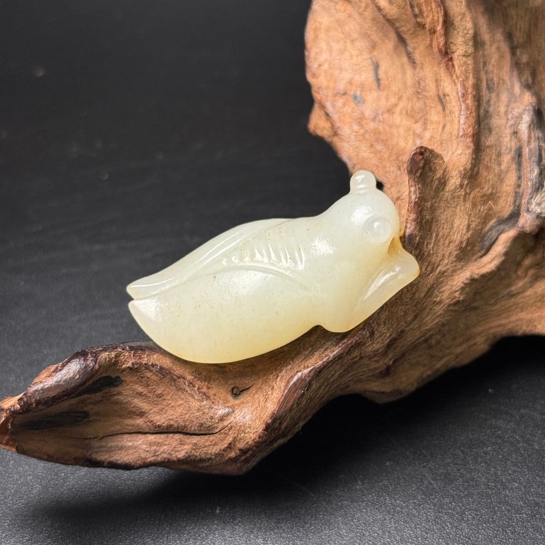 An Exquisite White Jade Cicada Ornament - 3