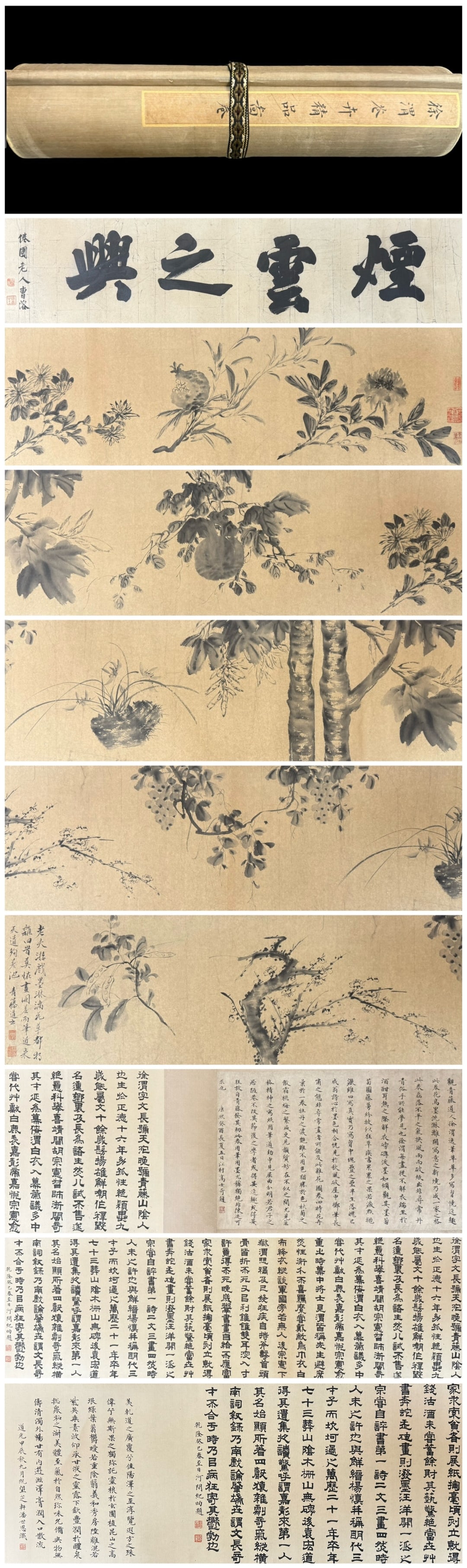 A Chinese Hand Scroll Ink Painting of Flower on Paper,: A Chinese Hand Scroll Ink Painting of Flower on Paper,Xu wei,Size:283.5inx12.6in,一幅中国水墨花卉画手卷