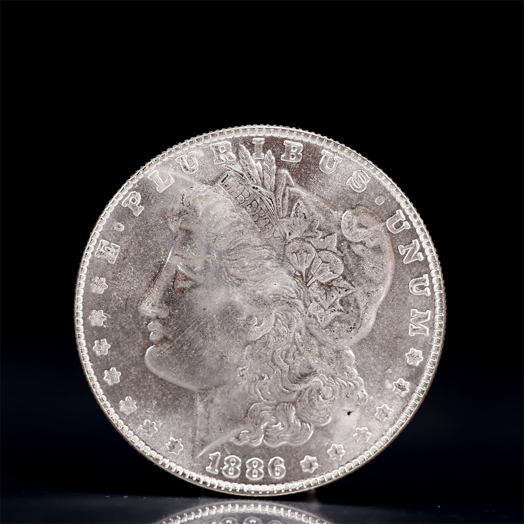USA Morgan Dollar 1886 Coin: Obv: profile bust with date below and E PLURIBUS UNUM legend and stars around. Rev: eagle with In God we trust above within wreath with UNITED STATES OF AMERICA ONE DOLLAR legend. IN GOD WE TRUST /