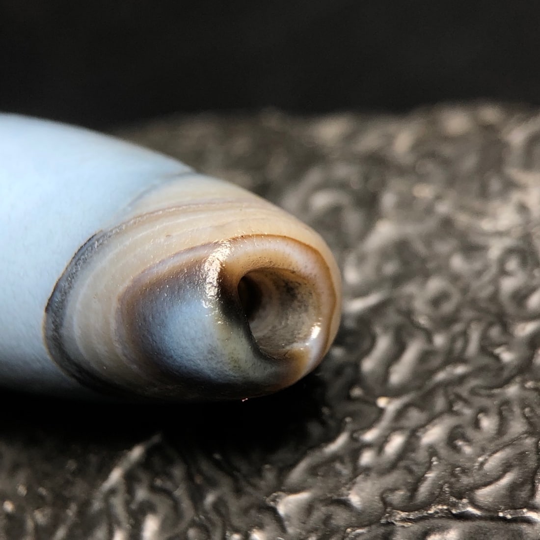 An Exquisite Agate Dzi bead - 6