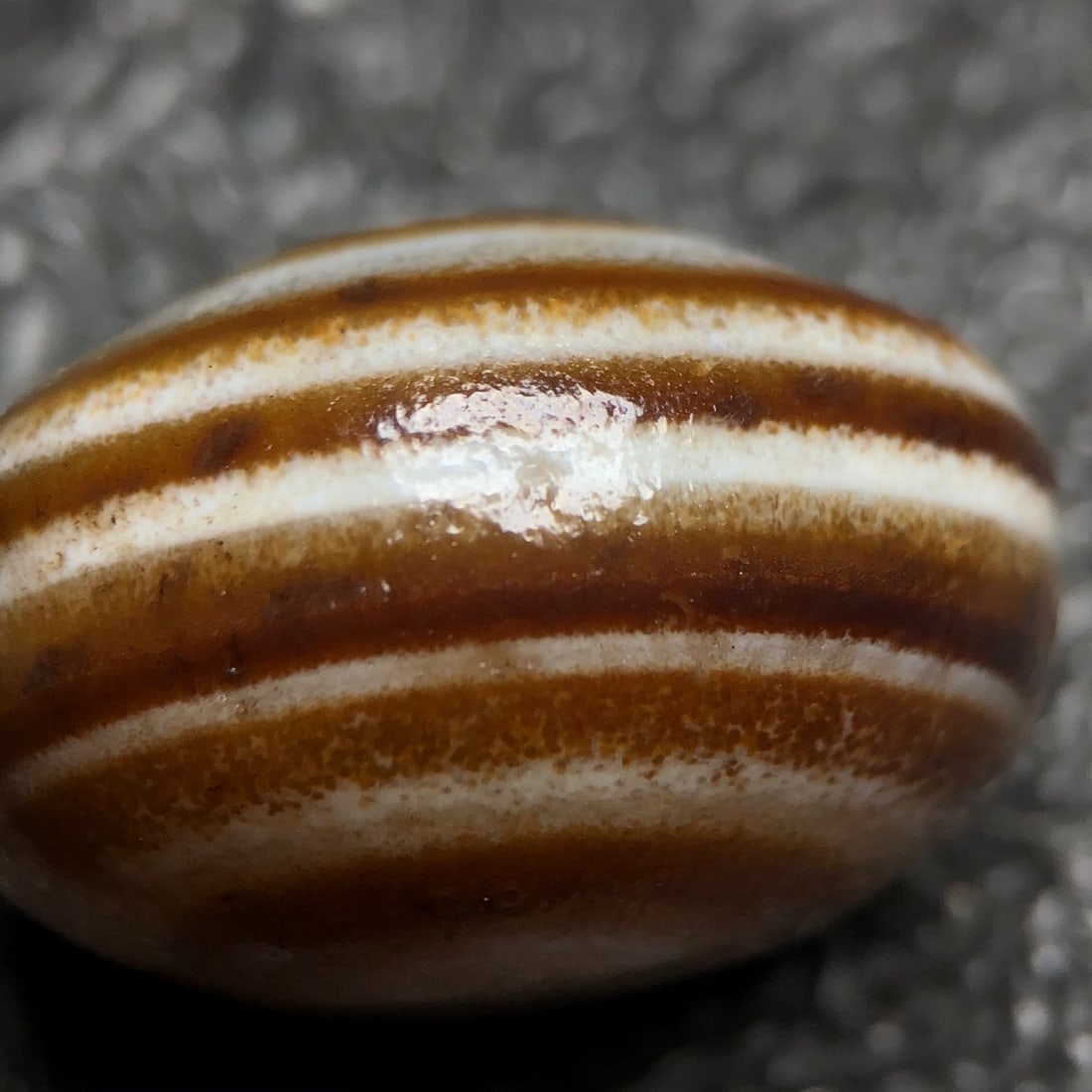 An Exquisite Agate Eye Flat Dzi bead - 7