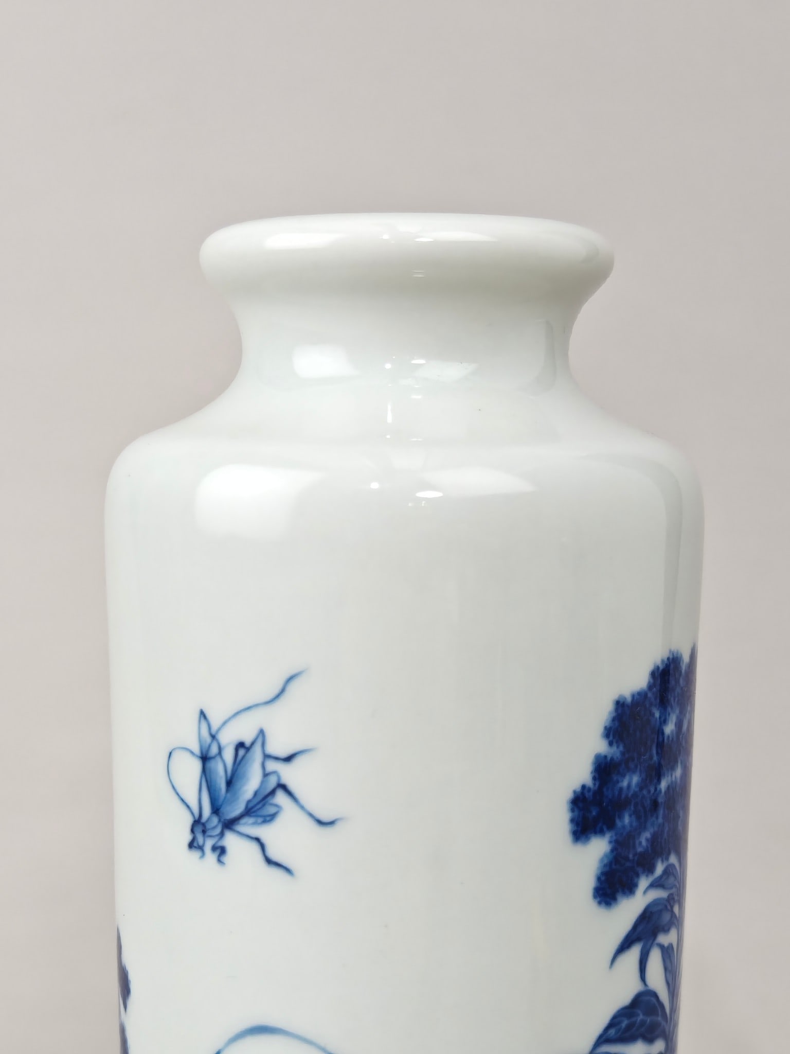 Blue and White Floral-Insect Pattern Vase - 5