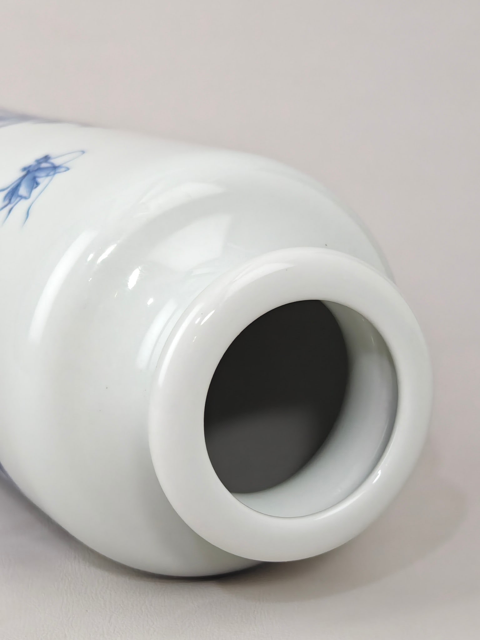 Blue and White Floral-Insect Pattern Vase - 7