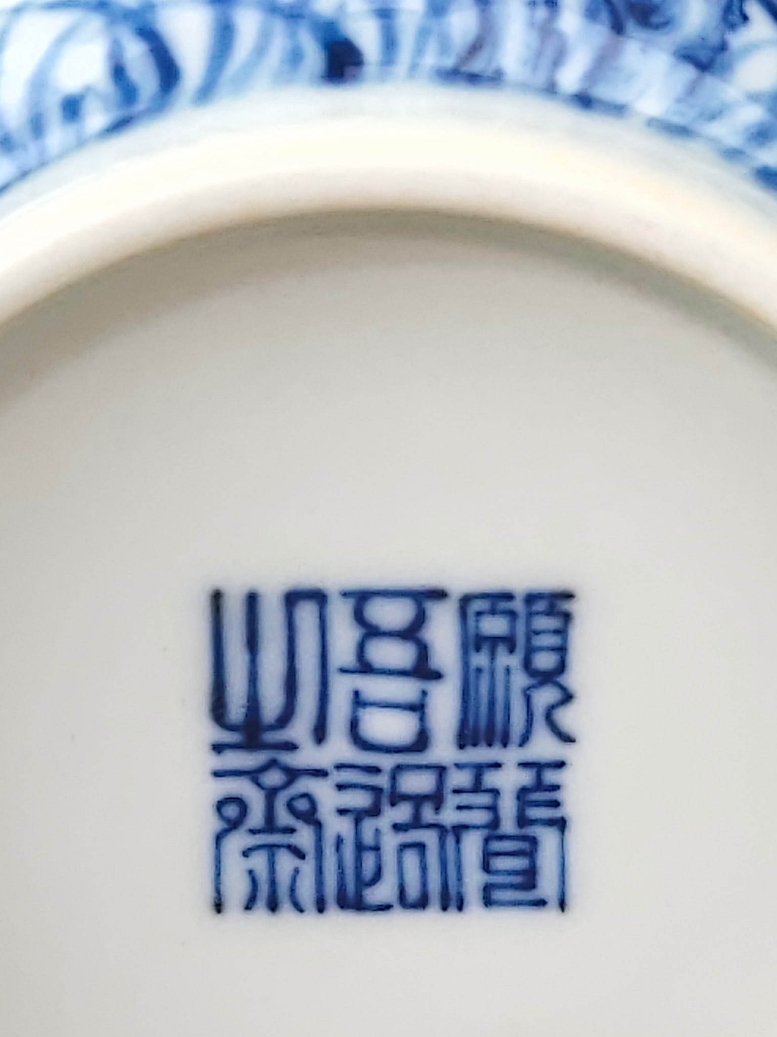 Blue and White Floral-Insect Pattern Vase - 9