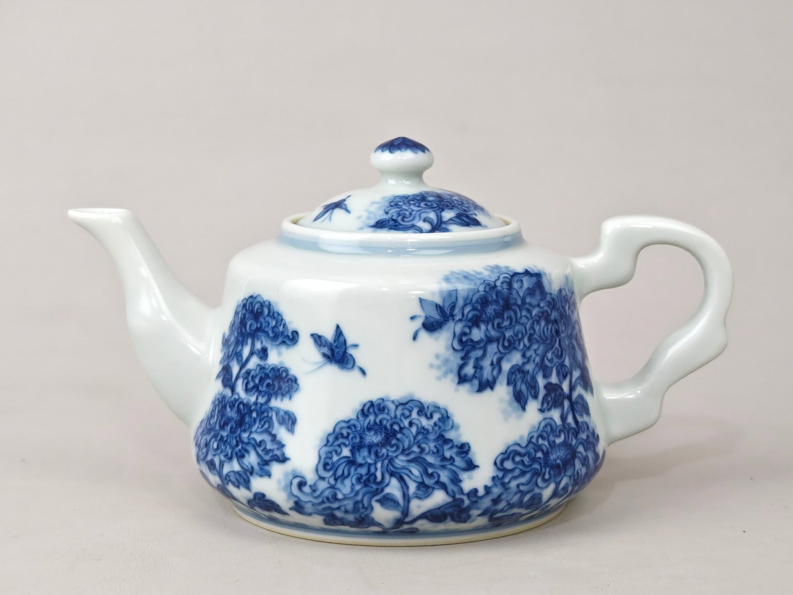 Blue and White Floral-Insect Pattern Teapot (1 of 9)