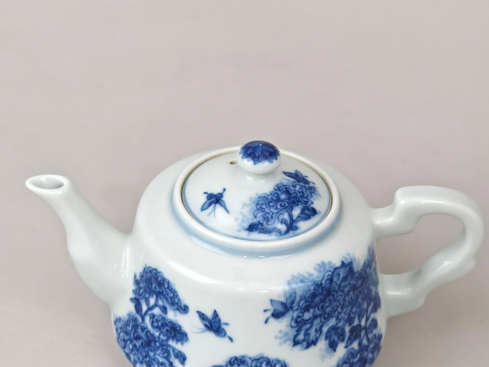 Blue and White Floral-Insect Pattern Teapot - 5