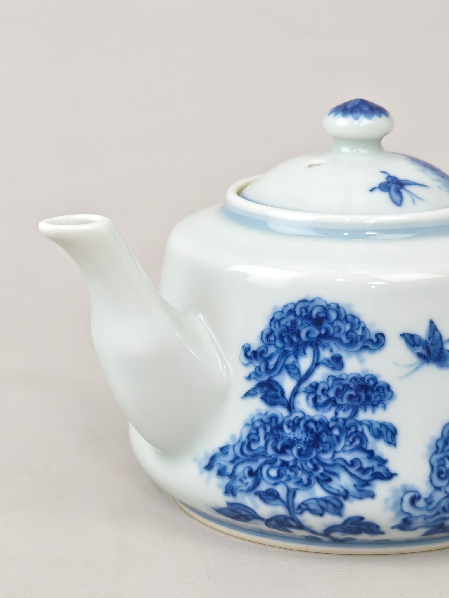Blue and White Floral-Insect Pattern Teapot - 7
