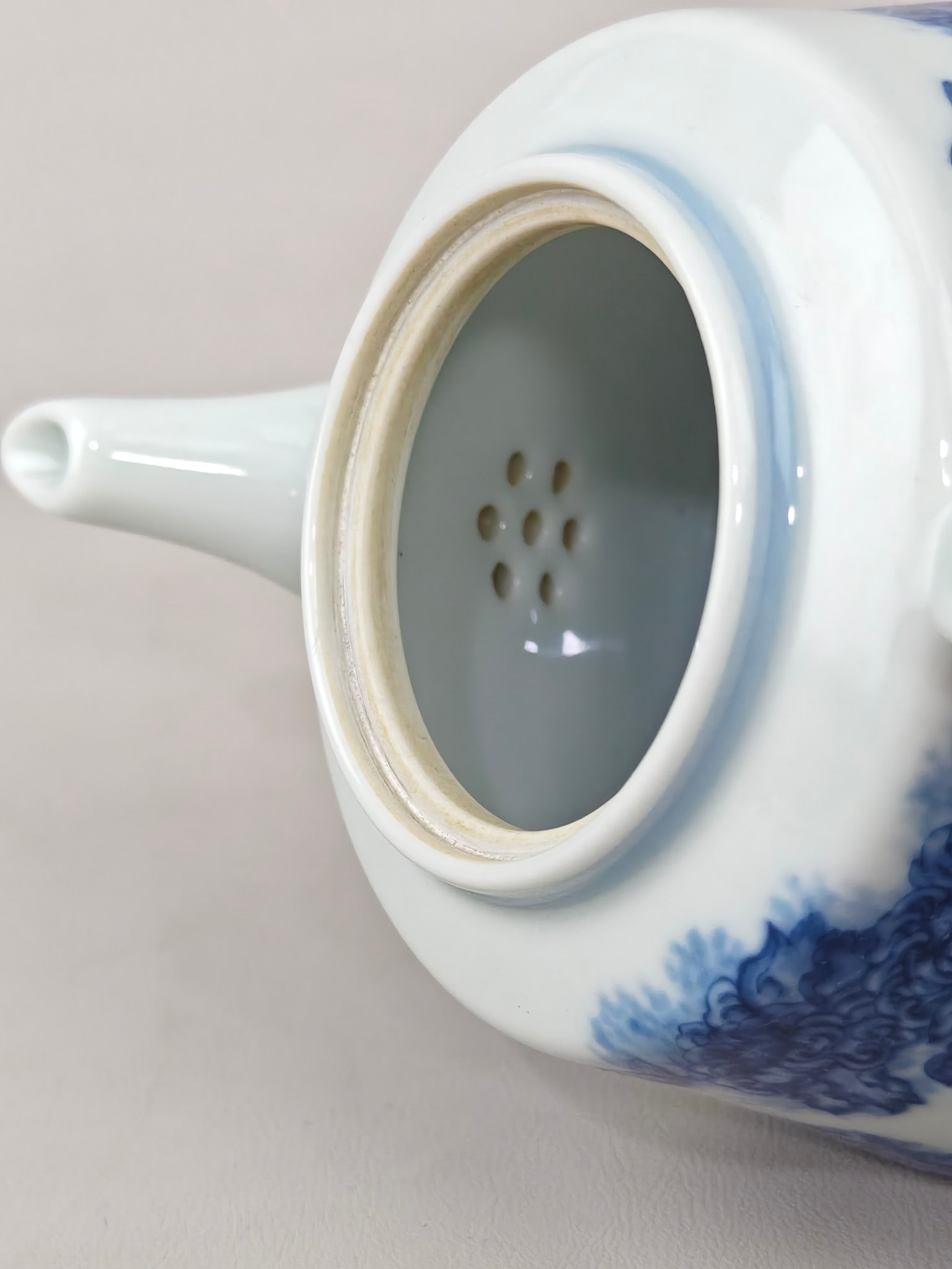 Blue and White Floral-Insect Pattern Teapot - 8