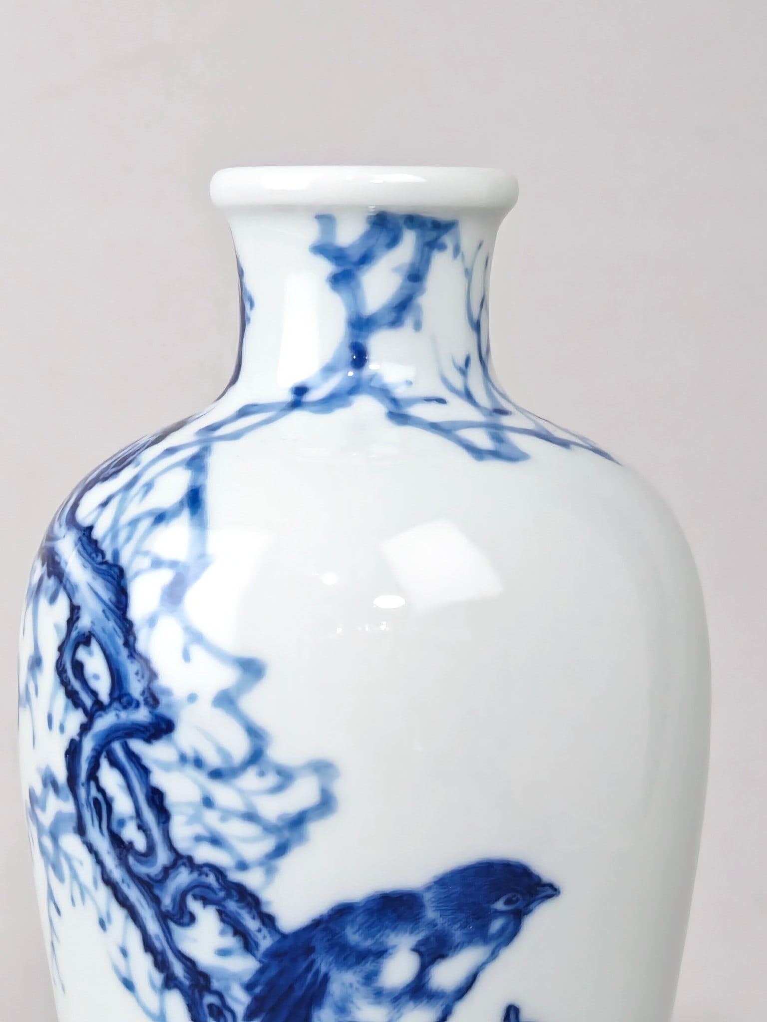 Blue and White Bird Pattern Vase - 5
