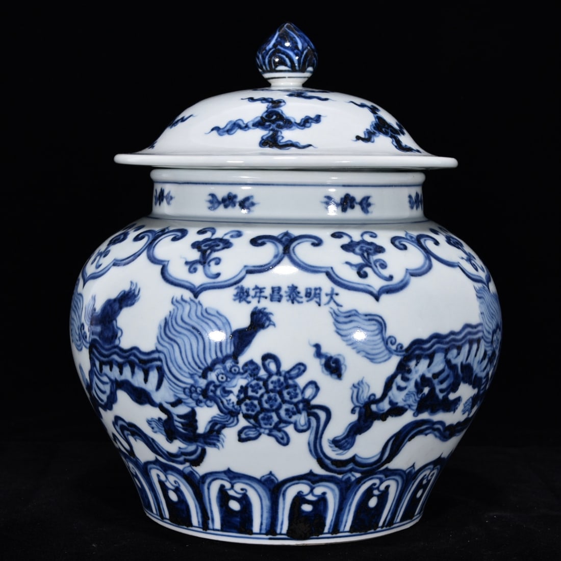 An Exquisite Blue and White Lion Pattern Jar (1 of 12)
