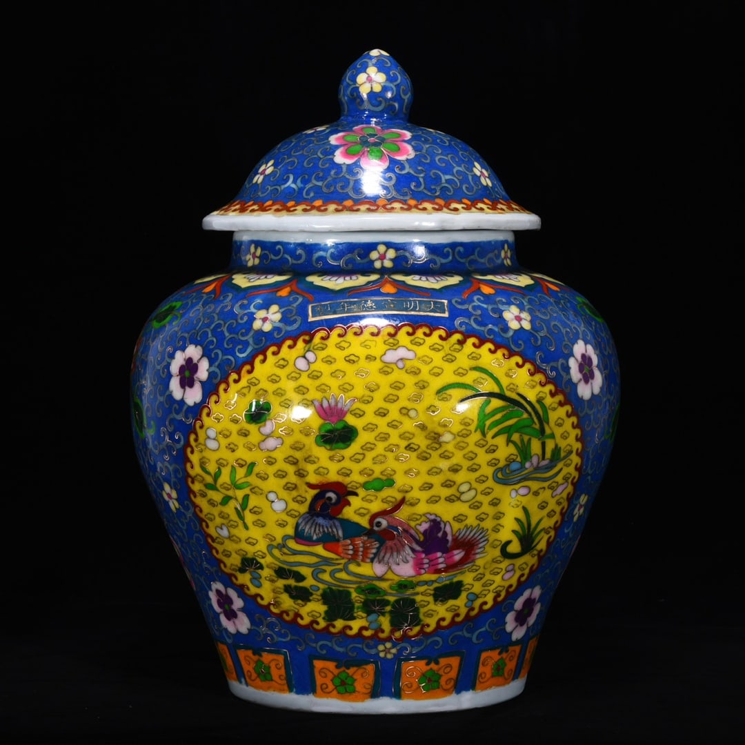 An Exquisite Enamel Flower and Bird Pattern Jar: An Exquisite Enamel Flower and Bird Pattern Jar,Ming Dynasty,China,with Xuande Six-character Mark,Size:17.3inx13.4in,珐琅彩花鸟纹罐,中国明&#