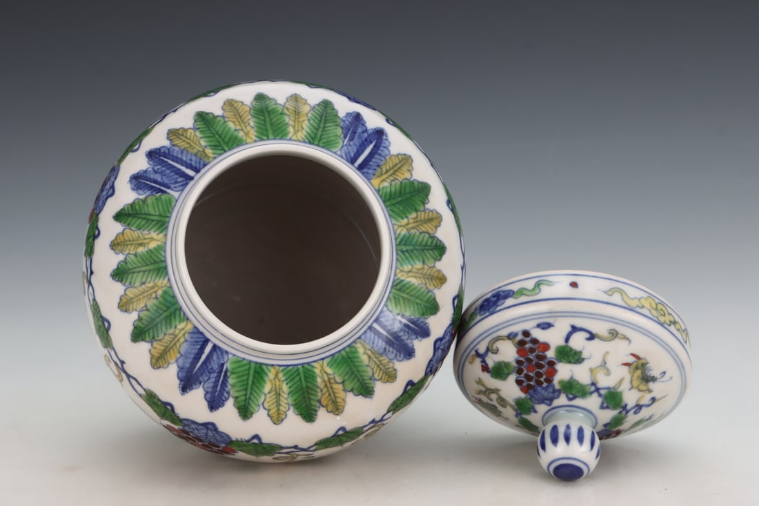 An Exquisite Doucai Grapes Pattern Jar - 7