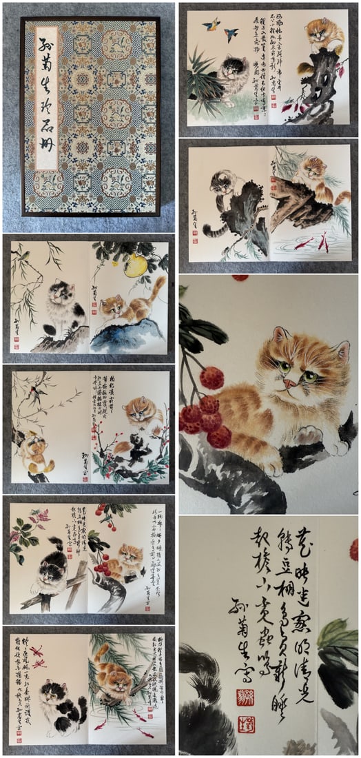 A Chinese Album Ink Painting of Cat on Paper: A Chinese Album Ink Painting of Cat on Paper,Sun Jusheng,Size:(Single Leaf)15.7inx22in,(entirety)15.7inx11in 一本中国水墨猫画册,孙菊&#