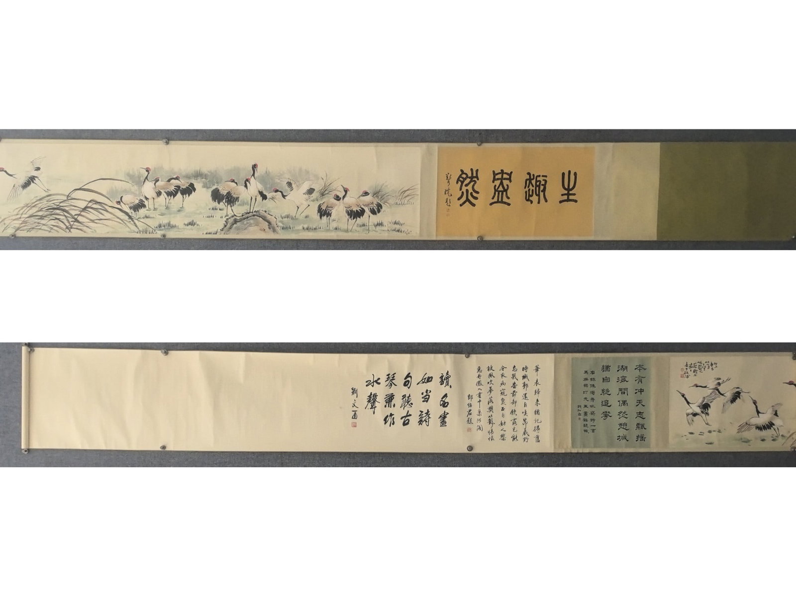 A Chinese Hand Scroll Ink Painting of Crane on Paper,Cai Heting: A Chinese Hand Scroll Ink Painting of Crane on Paper,Cai Heting,Size:(Without frame)15.4inx263.8in一幅中国水墨鹤图手卷,蔡鹤ĕ