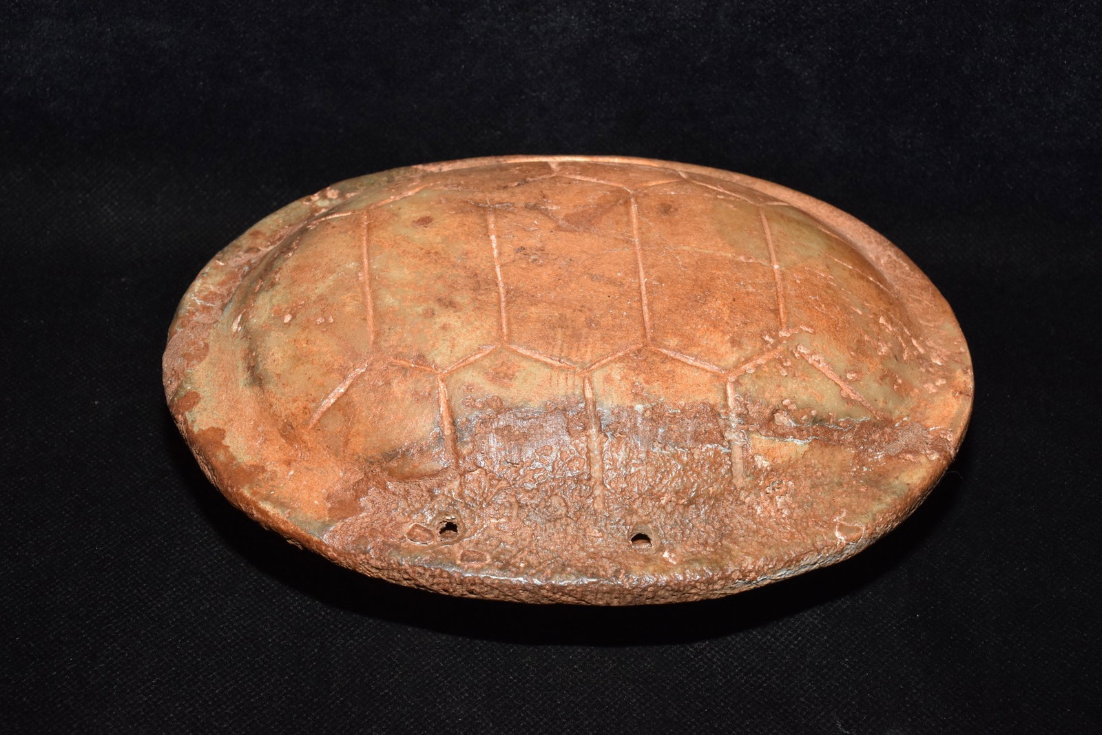 An Exquisite White Jade Tortoise Shell-Shaped Pendant: An Exquisite White Jade Tortoise Shell-Shaped Pendant,Hongshan Culture,Size:9.1inx6.9in,Weight:1010g白玉龟壳形挂件，红山文化A