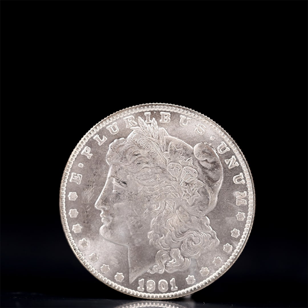 USA Morgan Dollar 1901 Coin: Obv: profile bust with date below and E PLURIBUS UNUM legend and stars around. Rev: eagle with In God we trust above within wreath with UNITED STATES OF AMERICA ONE DOLLAR legend. IN GOD WE TRUST / LI