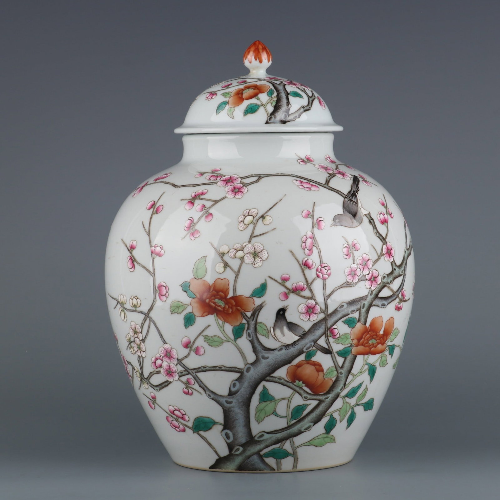 An Exquisite Famille-Rose Flower and Bird Pattern Jar (1 of 9)