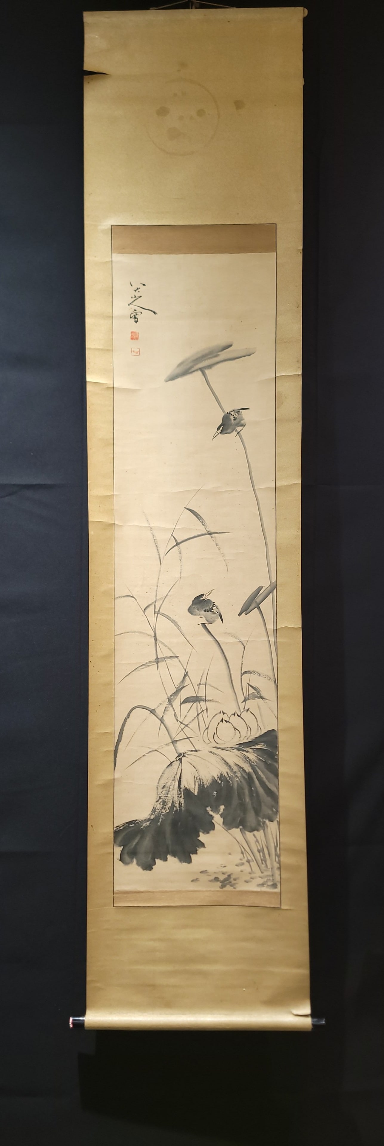 A Chinese Vertical Scroll Ink Painting of Flower and Bird on Paper,Bada Shanren: A Chinese Vertical Scroll Ink Painting of Flower and Bird on Paper,Bada ShanrenSize:(Without frame)13.4inx52.2in一幅中国水墨花鸟画立轴