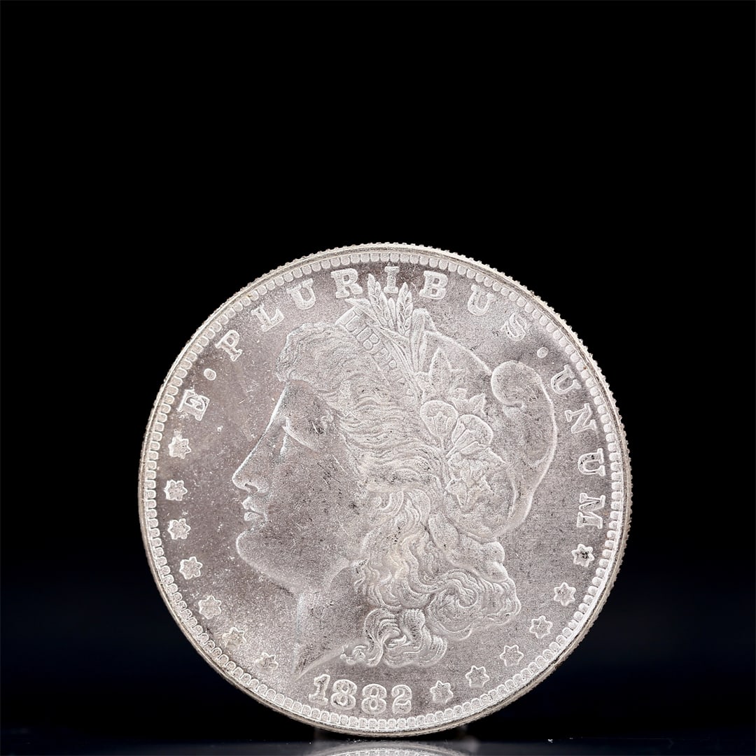USA Morgan Dollar 1882 Coin: Obv: profile bust with date below and E PLURIBUS UNUM legend and stars around. Rev: eagle with In God we trust above within wreath with UNITED STATES OF AMERICA ONE DOLLAR legend. IN GOD WE TRUST / LI