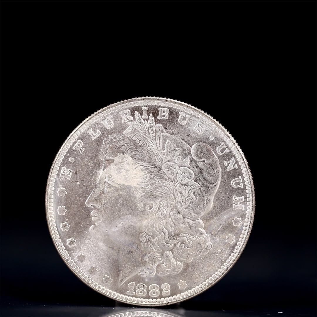 USA Morgan Dollar 1882 Coin: Obv: profile bust with date below and E PLURIBUS UNUM legend and stars around. Rev: eagle with In God we trust above within wreath with UNITED STATES OF AMERICA ONE DOLLAR legend. IN GOD WE TRUST / LI