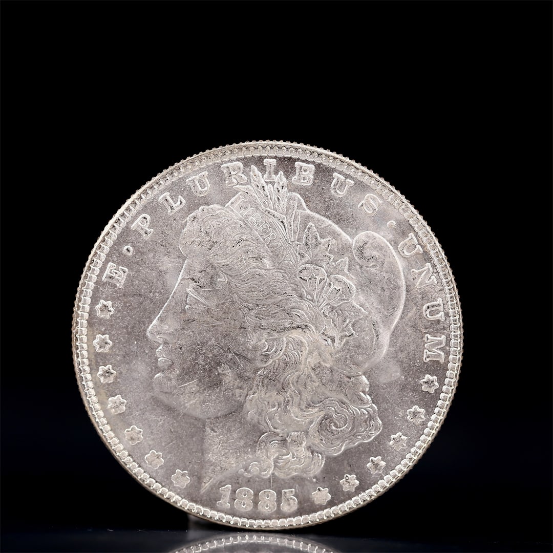 USA Morgan Dollar 1885 Coin: Obv: profile bust with date below and E PLURIBUS UNUM legend and stars around. Rev: eagle with In God we trust above within wreath with UNITED STATES OF AMERICA ONE DOLLAR legend. IN GOD WE TRUST / LI