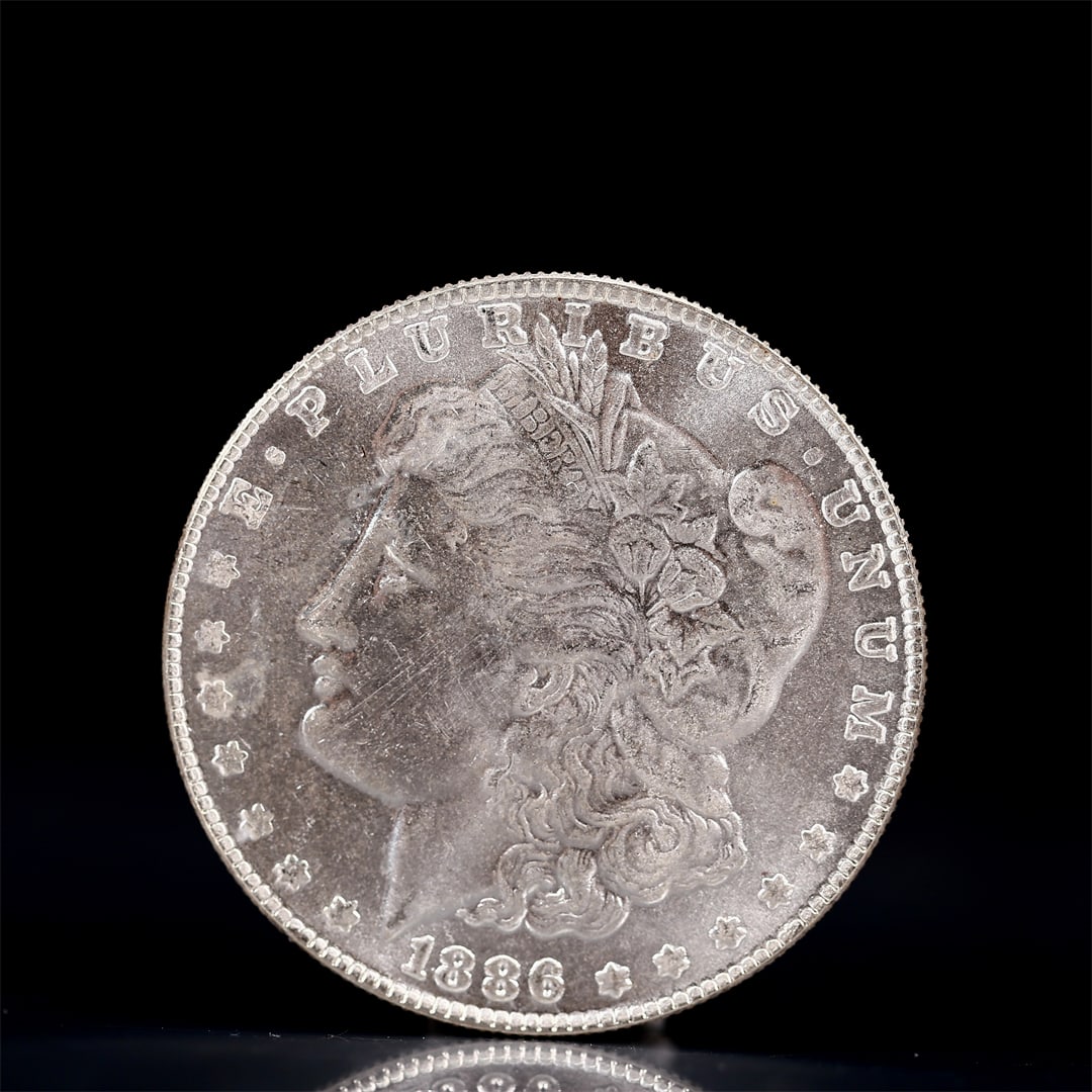 USA Morgan Dollar 1886 Coin: Obv: profile bust with date below and E PLURIBUS UNUM legend and stars around. Rev: eagle with In God we trust above within wreath with UNITED STATES OF AMERICA ONE DOLLAR legend. IN GOD WE TRUST /