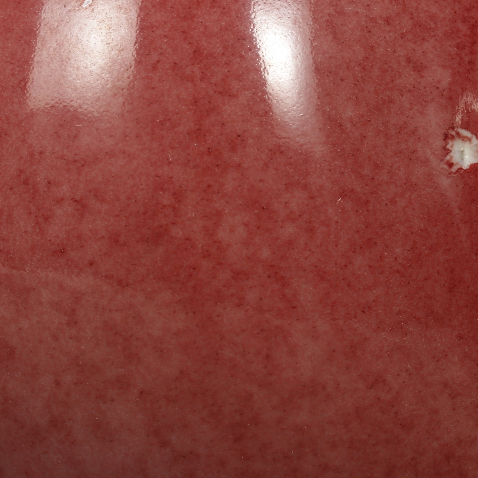 An Exquisite Covered Ruby Red Glaze Plum Vase - 7