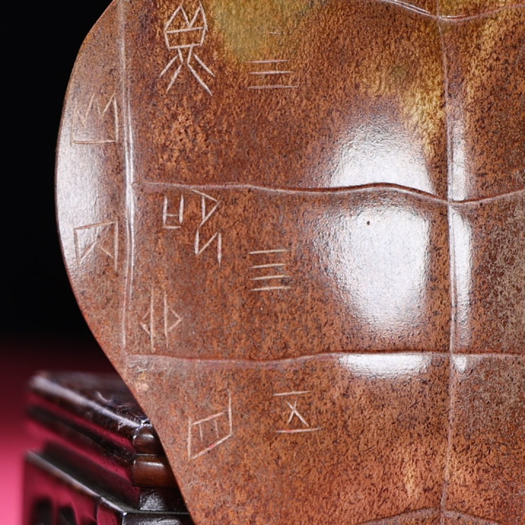 An Exquisite Hotan Jade Tortoise Shell - 4