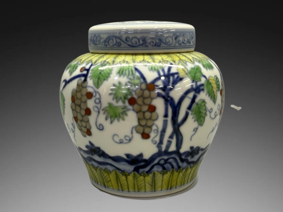 An Exquisite Doucai Grapes Pattern Jar - 6