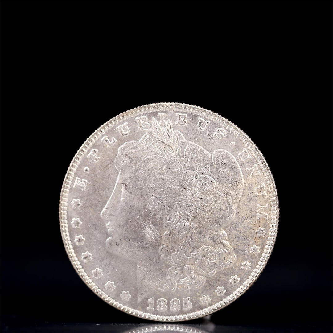 USA Morgan Dollar 1885 Coin: Obv: profile bust with date below and E PLURIBUS UNUM legend and stars around. Rev: eagle with In God we trust above within wreath with UNITED STATES OF AMERICA ONE DOLLAR legend. IN GOD WE TRUST / LI