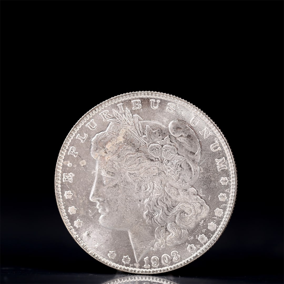 USA Morgan Dollar 1903 Coin: Obv: profile bust with date below and E PLURIBUS UNUM legend and stars around. Rev: eagle with In God we trust above within wreath with UNITED STATES OF AMERICA ONE DOLLAR legend. IN GOD WE TRUST / LI
