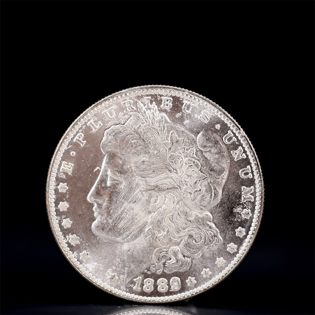 USA Morgan Dollar 1889 Coin: Obv: profile bust with date below and E PLURIBUS UNUM legend and stars around. Rev: eagle with In God we trust above within wreath with UNITED STATES OF AMERICA ONE DOLLAR legend. IN GOD WE TRUST / LI