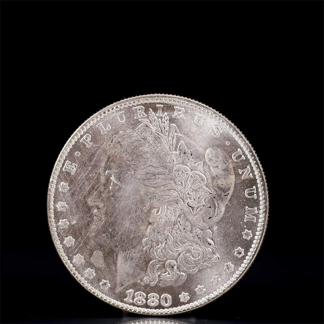 USA Morgan Dollar 1880 Coin: Obv: profile bust with date below and E PLURIBUS UNUM legend and stars around. Rev: eagle with In God we trust above within wreath with UNITED STATES OF AMERICA ONE DOLLAR legend. IN GOD WE TRUST / LI