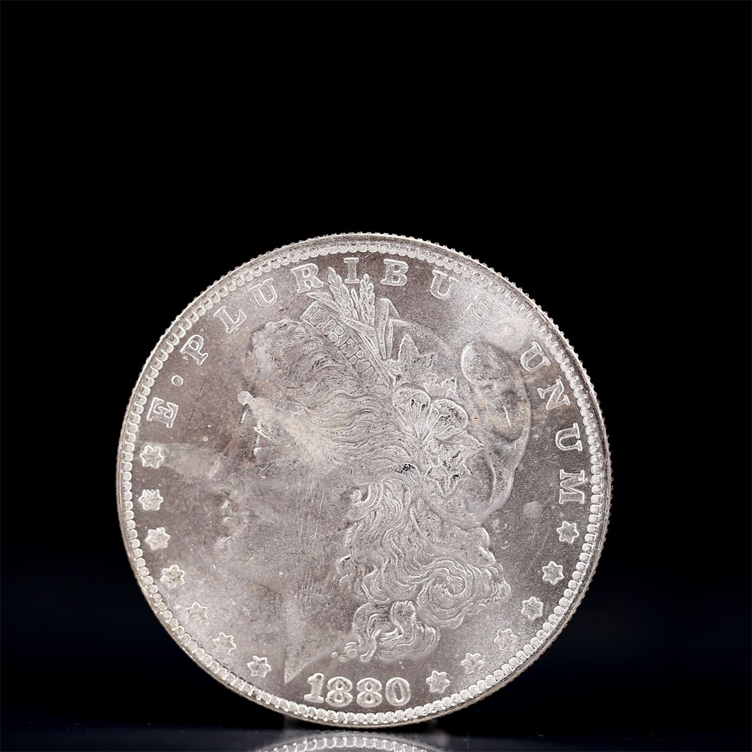 USA Morgan Dollar 1880 Coin: Obv: profile bust with date below and E PLURIBUS UNUM legend and stars around. Rev: eagle with In God we trust above within wreath with UNITED STATES OF AMERICA ONE DOLLAR legend. IN GOD WE TRUST / LI