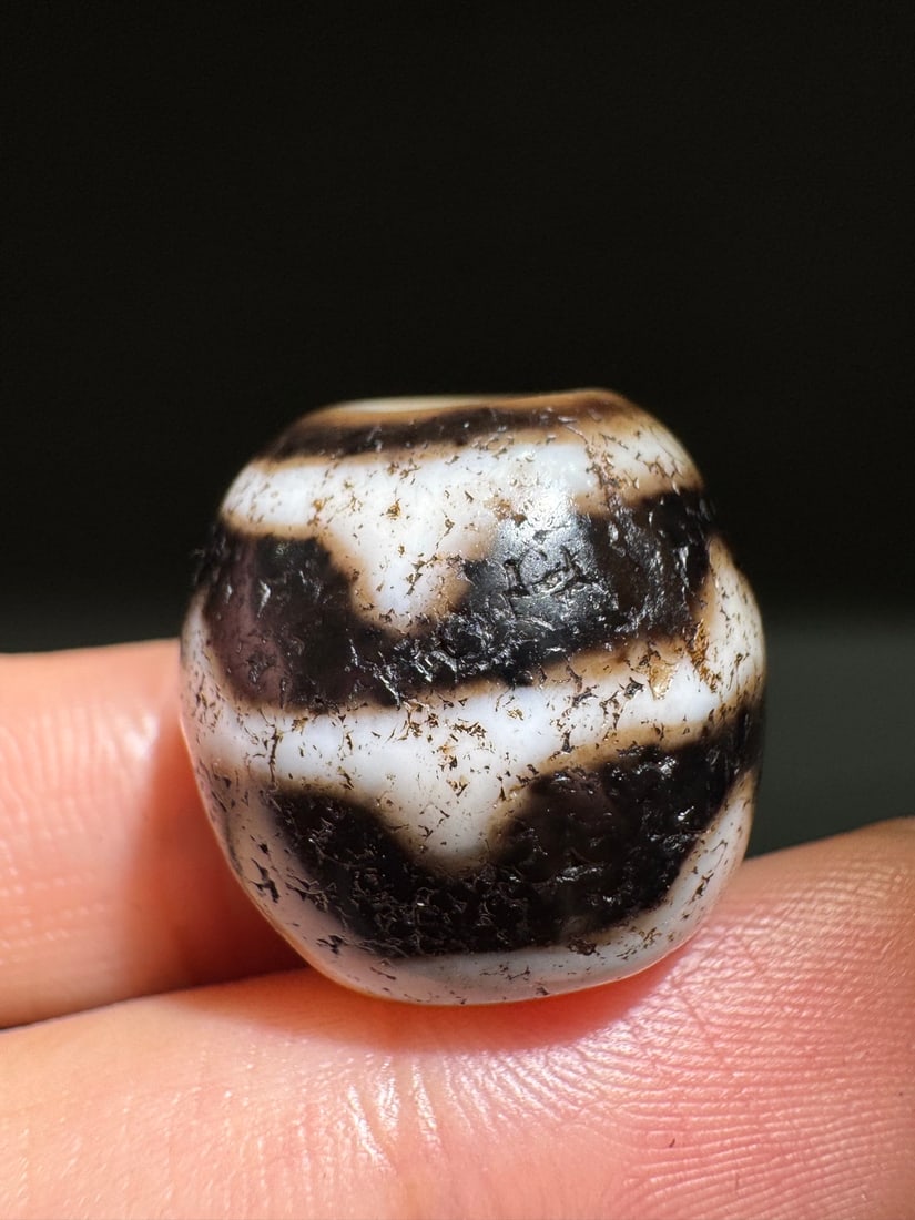 An Exquisite Tiger-Tooth Dzi bead: An Exquisite Tiger-Tooth Dzi bead,Qing Dynasty, China,Size:0.8inx0.8in 虎牙天珠,中国清代
