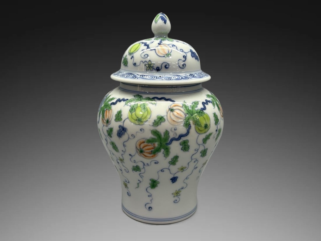 An Exquisite Doucai Flower and Fruit Pattern Jar (1 of 9)