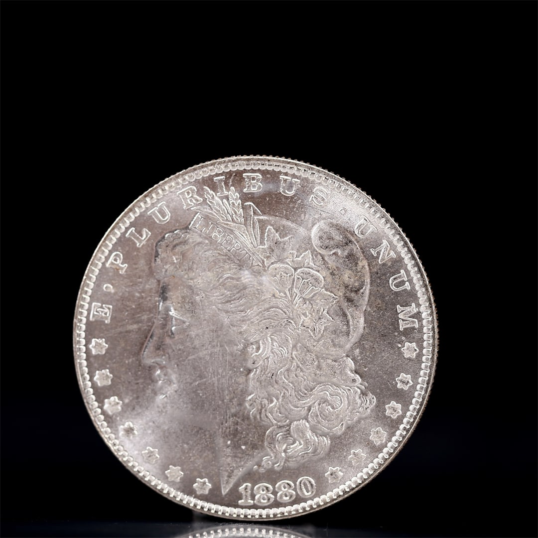 USA Morgan Dollar 1880 Coin: Obv: profile bust with date below and E PLURIBUS UNUM legend and stars around. Rev: eagle with In God we trust above within wreath with UNITED STATES OF AMERICA ONE DOLLAR legend. IN GOD WE TRUST / LI