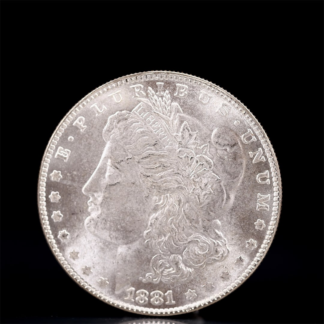 USA Morgan Dollar 1881 Coin: Obv: profile bust with date below and E PLURIBUS UNUM legend and stars around. Rev: eagle with In God we trust above within wreath with UNITED STATES OF AMERICA ONE DOLLAR legend. IN GOD WE TRUST / LI