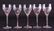 Frosted Impressionistic Decanter w/Wine Stems - 6